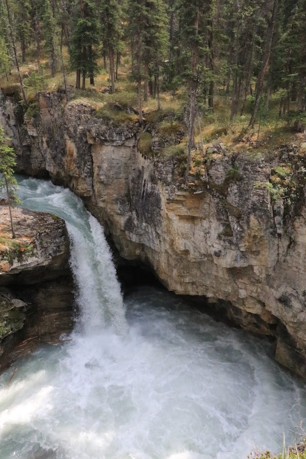 Beauty Creek