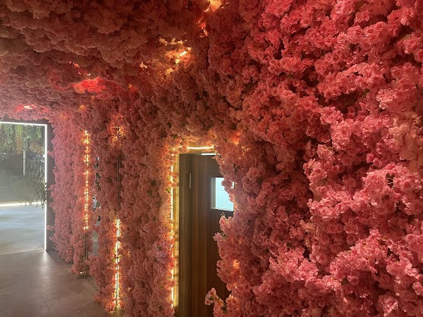 White Restaurant & Garden 4