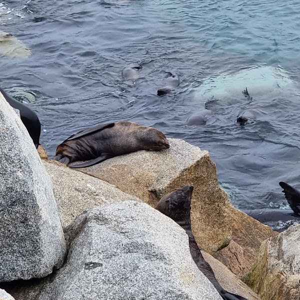 Narooma 4
