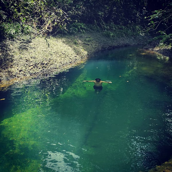 Parque Ecológico Venado Verde 5