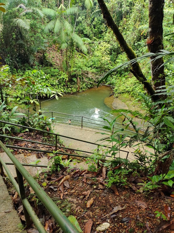 Parque Ecológico Venado Verde 4