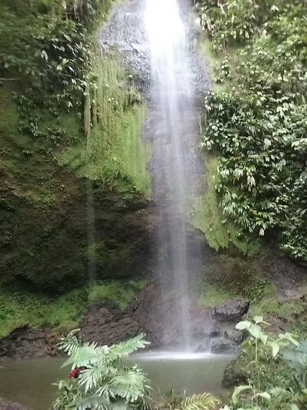 Parque Ecológico Venado Verde 3