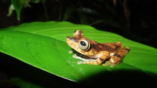 Parque Ecológico Venado Verde 2