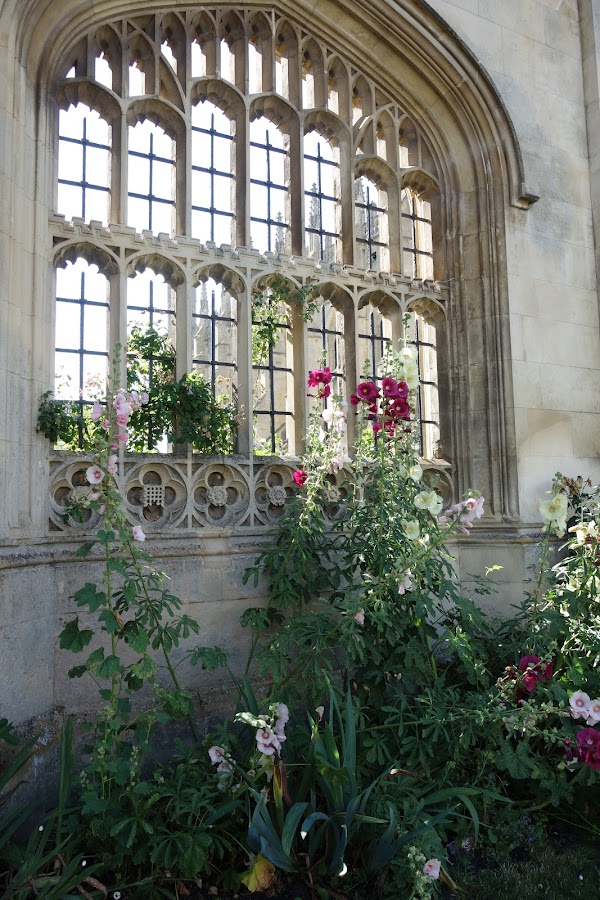 Oxford 5