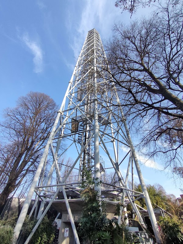 Branca Tower 5