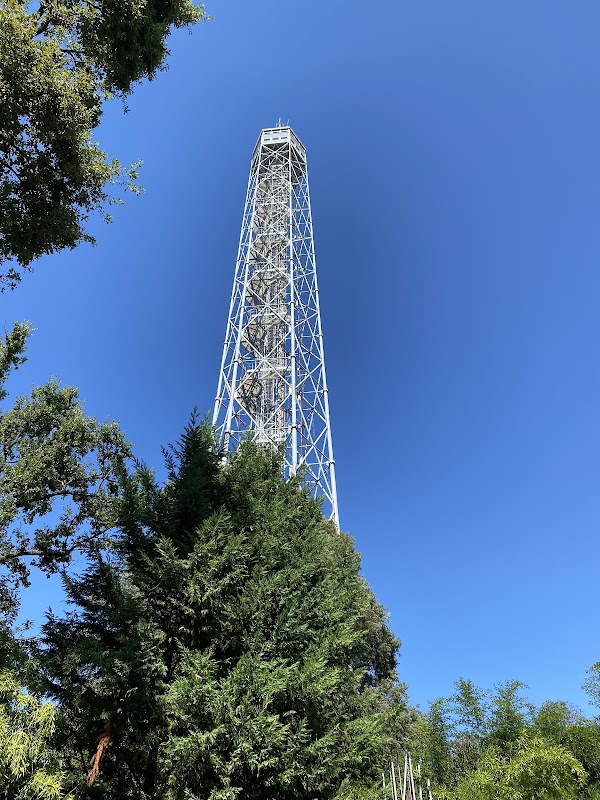 Branca Tower 4