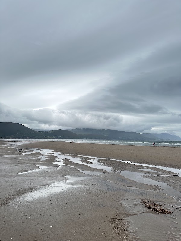 Rossbeigh Mountain 4