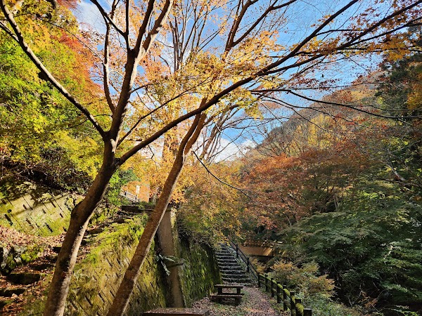 美霞洞渓谷 3