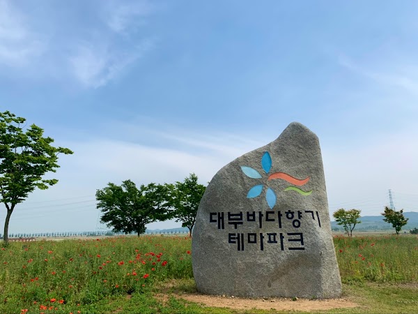 Daebu Badahyanggi Theme Park 1