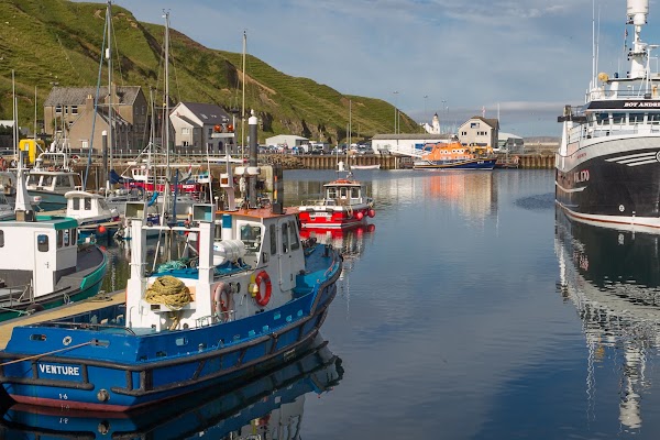 Scrabster 4