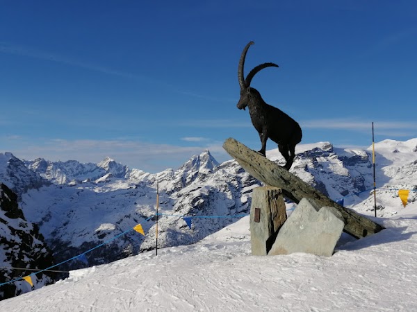 Monterosa Ski - Champoluc
