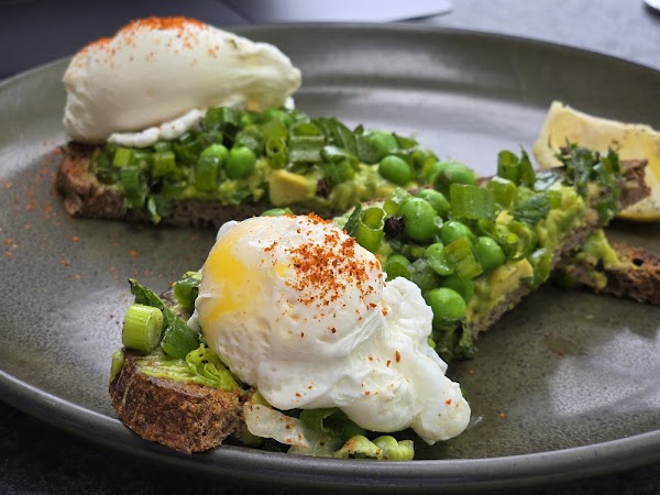 Modern Bread and Bagel 4