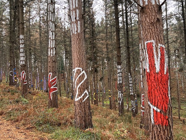 Nuevo Bosque De Oma 2