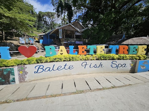 Old Enchanted Balete Tree 3