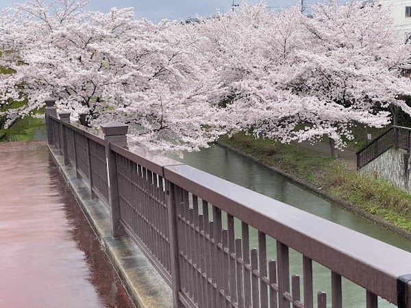 Fushimi Minato Park 1