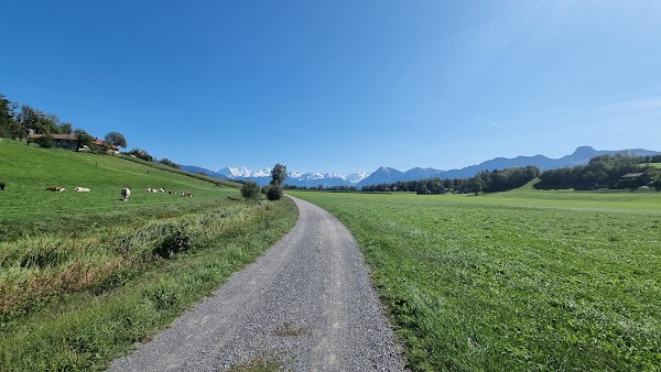 Uttigen 3