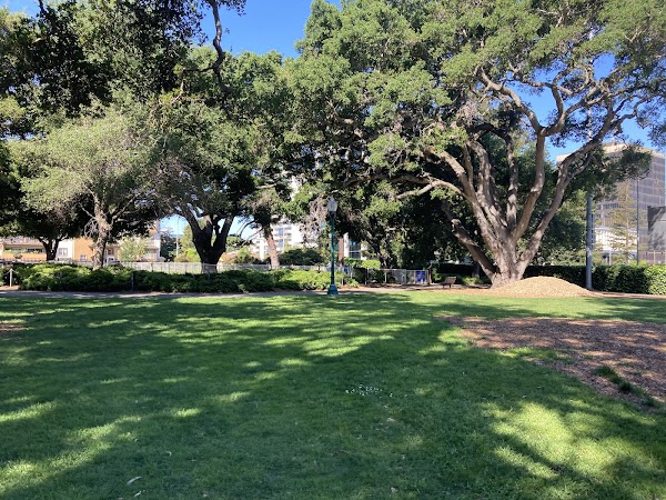 San Mateo Central Park 3