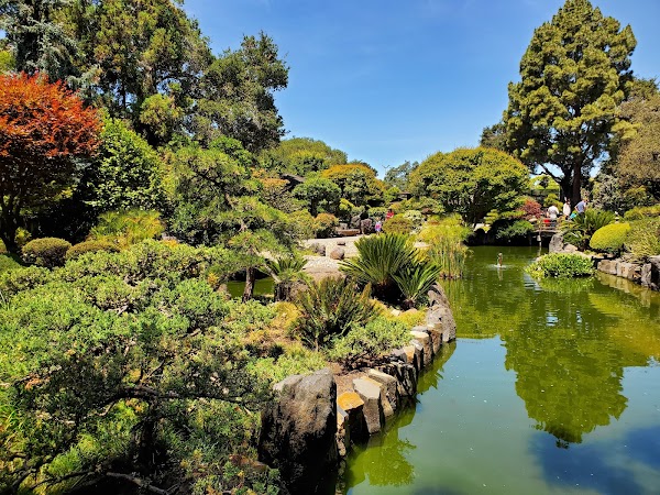 San Mateo Central Park 2