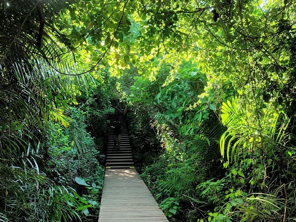 Shoushan National Natural Park 1