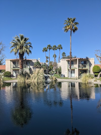 Palm Springs 1