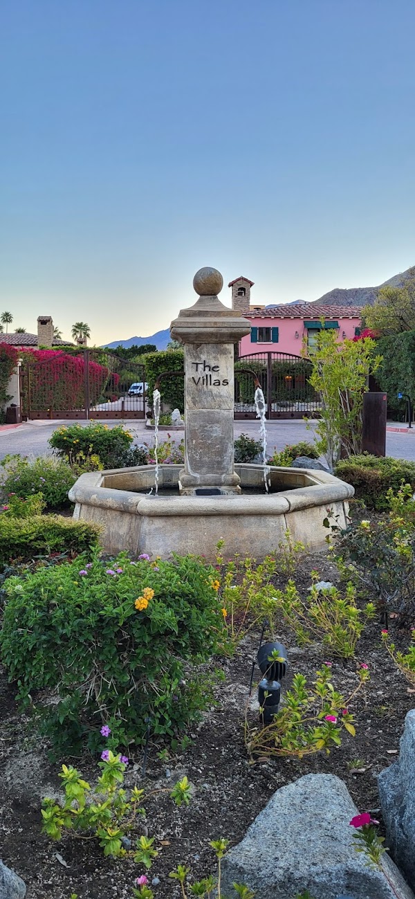 Palm Springs 4
