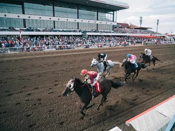 Canterbury Park 3