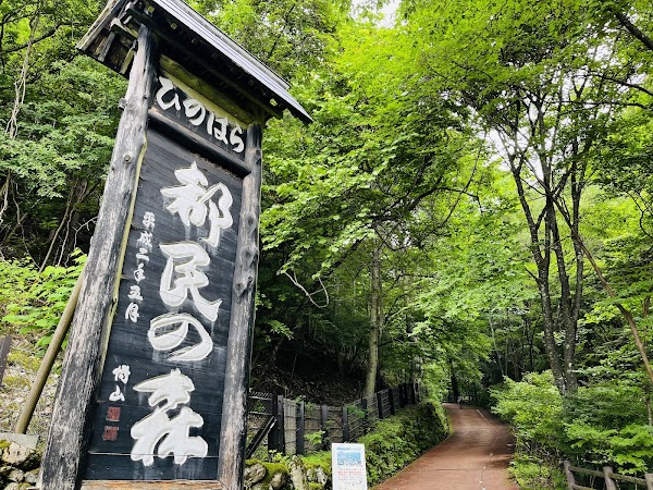 Hinohara Tokyo Citizens' Forest 1