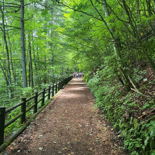 Hinohara Tokyo Citizens' Forest 5