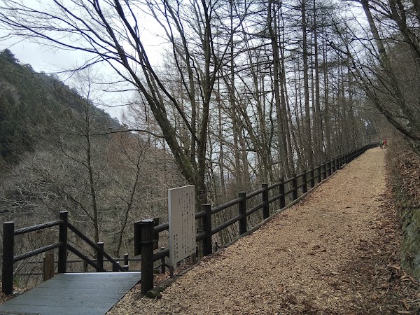 Hinohara Tokyo Citizens' Forest 3