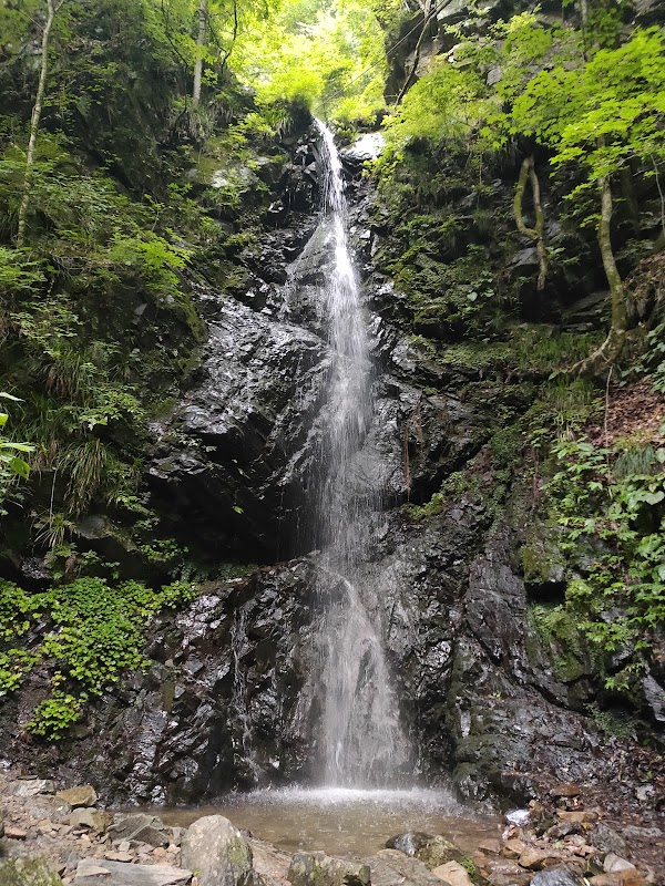 Hinohara Tokyo Citizens' Forest 2