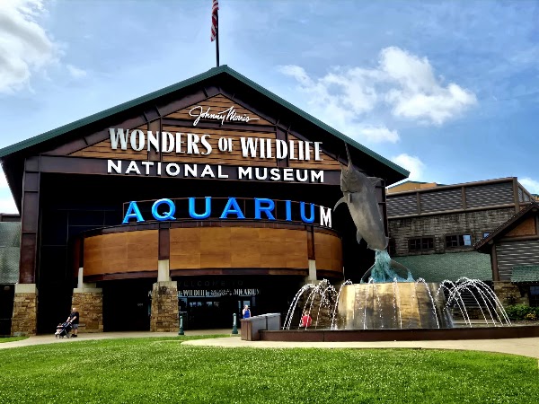 Wonders Of Wildlife National Museum & Aquarium 1