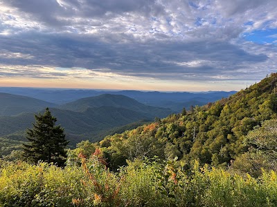 Pisgah National Forest