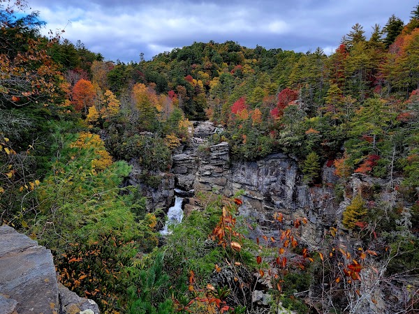 Pisgah National Forest 4