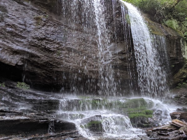 Pisgah National Forest 2