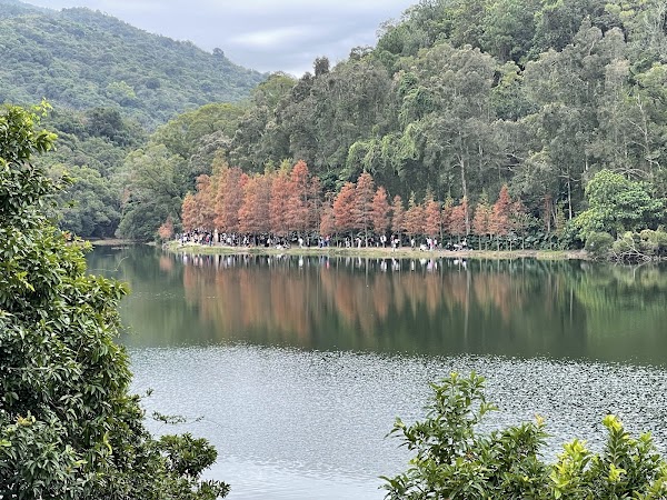 Pat Sin Leng Country Park 4