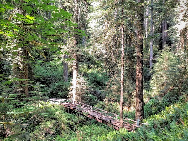 Newton B. Drury Scenic Parkway 5