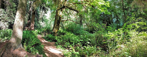 Newton B. Drury Scenic Parkway 2