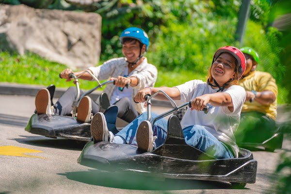Skyline Luge