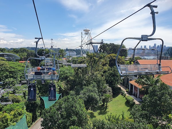 Skyline Luge 5