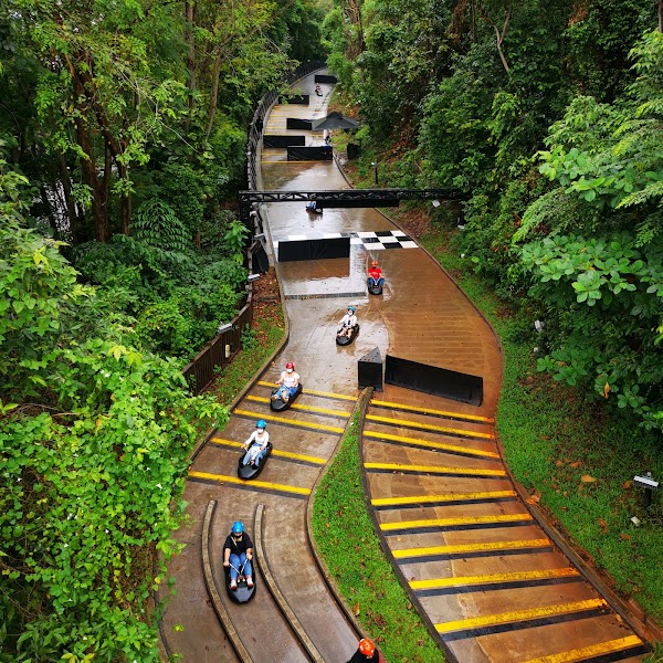 Skyline Luge 3