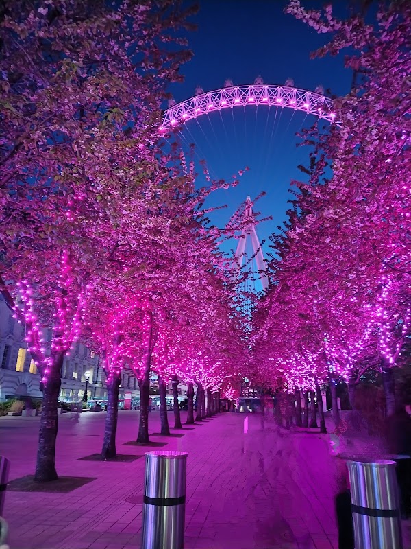 Jubilee Gardens 2