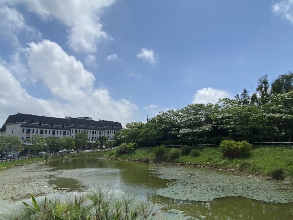 Taoyuan 5