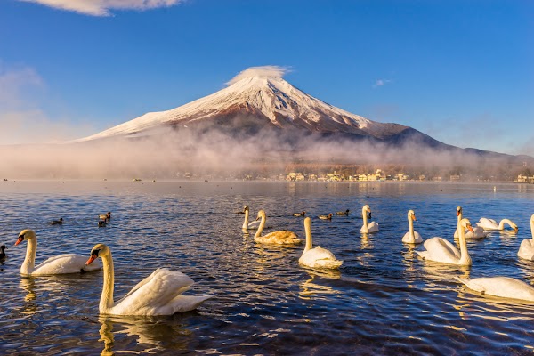 Lake Yamanaka 1