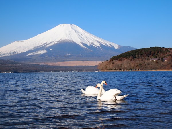 Lake Yamanaka 5