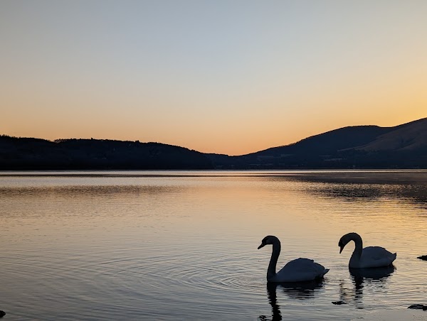 Lake Yamanaka 3