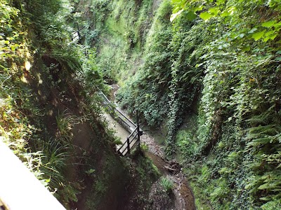 Shanklin Chine