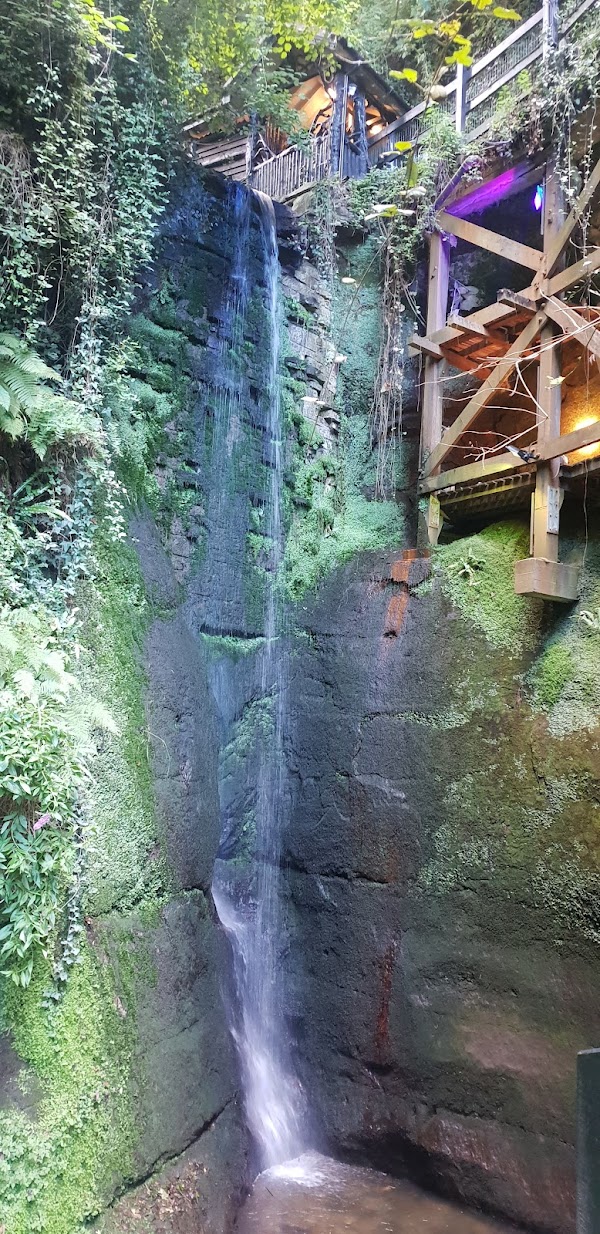 Shanklin Chine 5