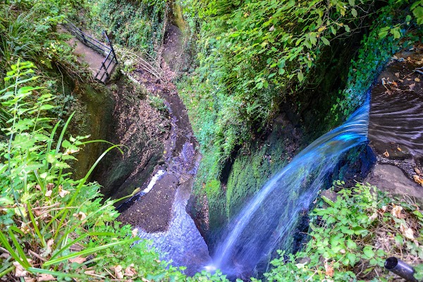 Shanklin Chine 4