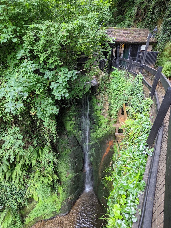 Shanklin Chine 3