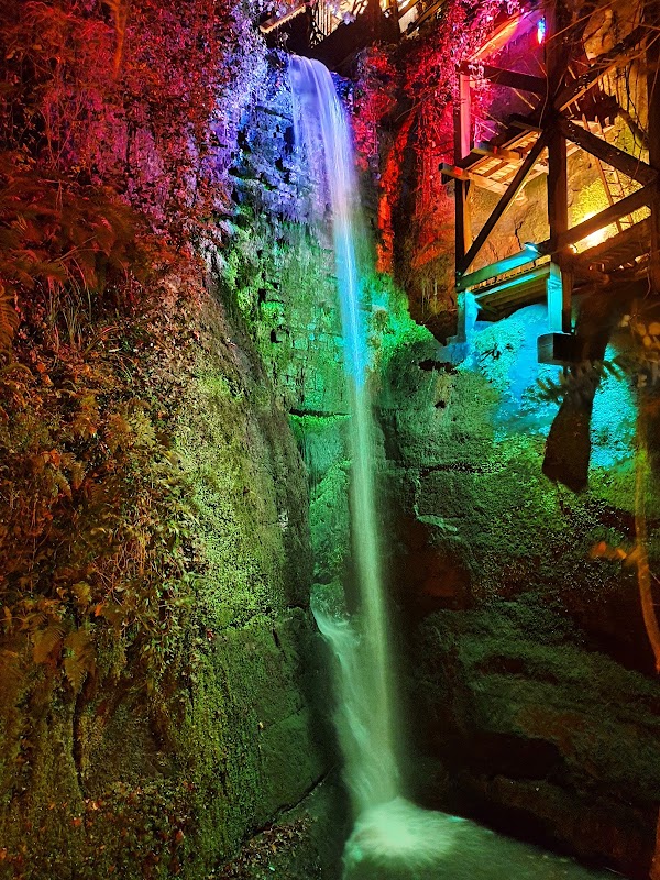 Shanklin Chine 2